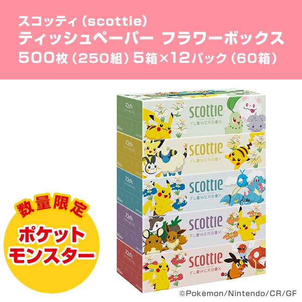 【在庫限り/ポケモン仕様】 スコッティ ティッシュペーパー フラワーボックス 500枚(250組) ポケモン 5箱×12パック(60箱) 日本製紙クレシア