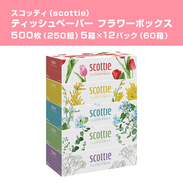 【10％オフクーポン対象】スコッティ ティッシュペーパー フラワーボックス 500枚(250組) 5箱×12パック(60箱) 日本製紙クレシア