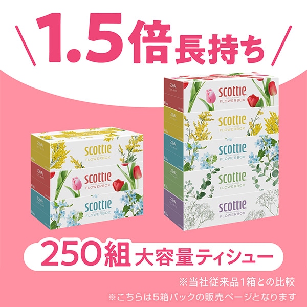 【10％オフクーポン対象】スコッティ ティッシュペーパー フラワーボックス 500枚(250組) 5箱×12パック(60箱) 日本製紙クレシア