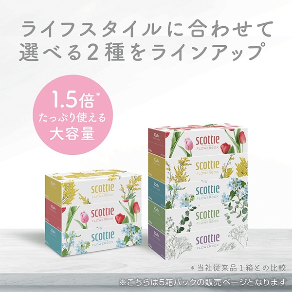 【10％オフクーポン対象】スコッティ ティッシュペーパー フラワーボックス 500枚(250組) 5箱×12パック(60箱) 日本製紙クレシア