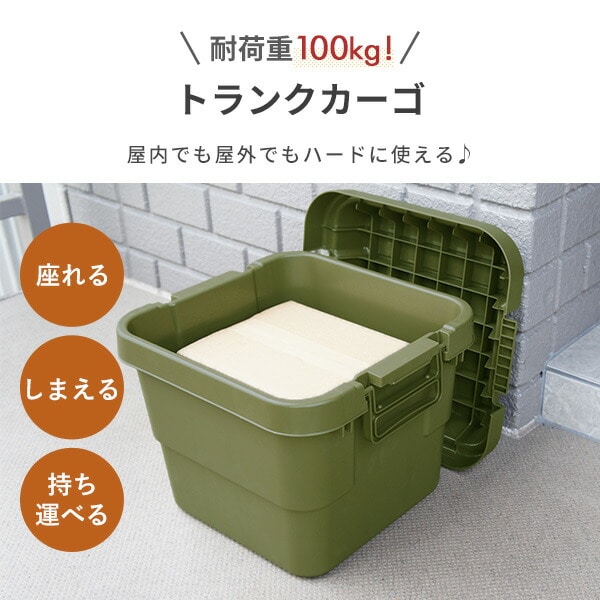 トランクカーゴ 座れる 収納ボックス 30L TC-30 リス RISU