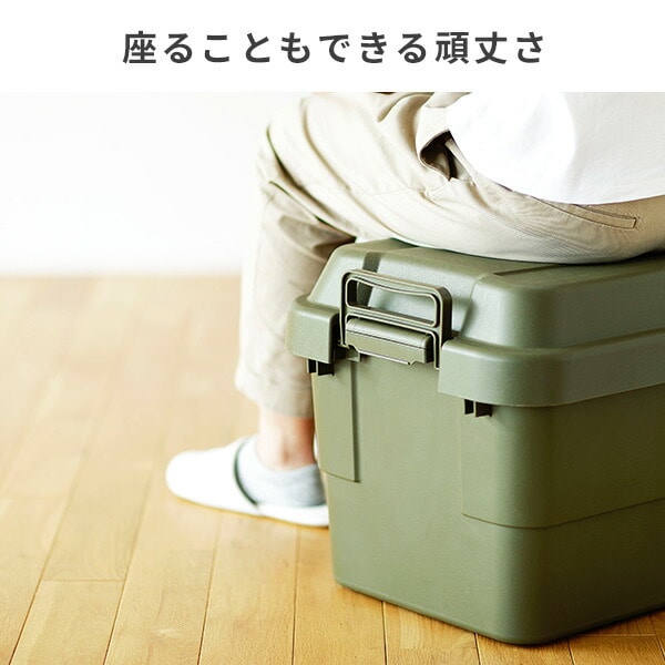トランクカーゴ 座れる 収納ボックス 30L TC-30 リス RISU