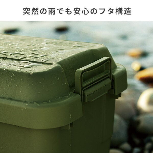 トランクカーゴ 座れる 収納ボックス 30L TC-30 リス RISU