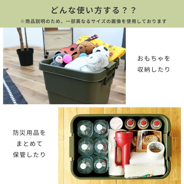 トランクカーゴ 座れる 収納ボックス 30L TC-30 リス RISU