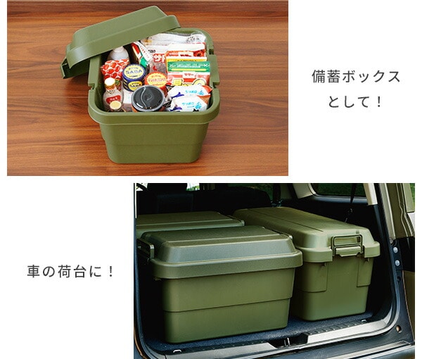 トランクカーゴ 座れる 収納ボックス 30L TC-30 リス RISU