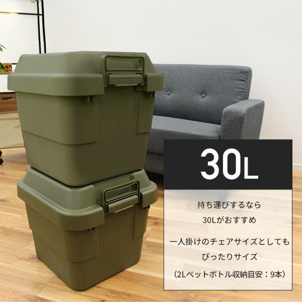 トランクカーゴ 座れる 収納ボックス 30L TC-30 リス RISU