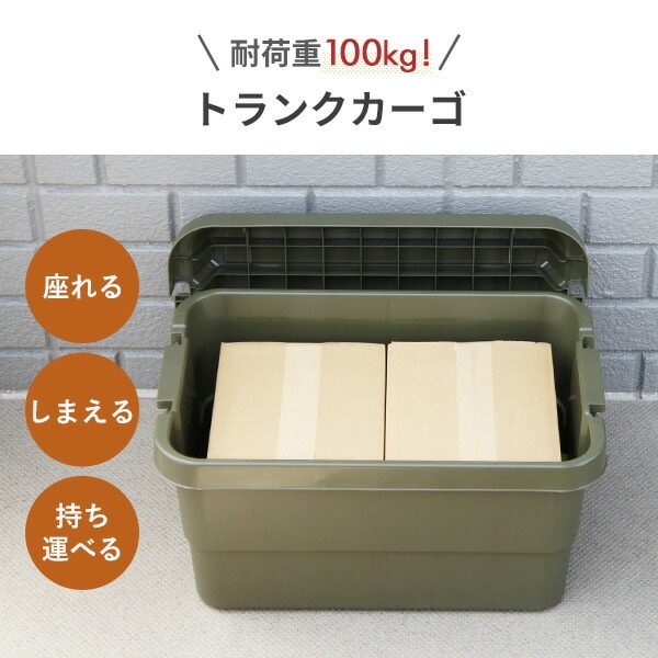 【10％オフクーポン対象】トランクカーゴ 座れる 収納ボックス 50L TC-50 リス RISU
