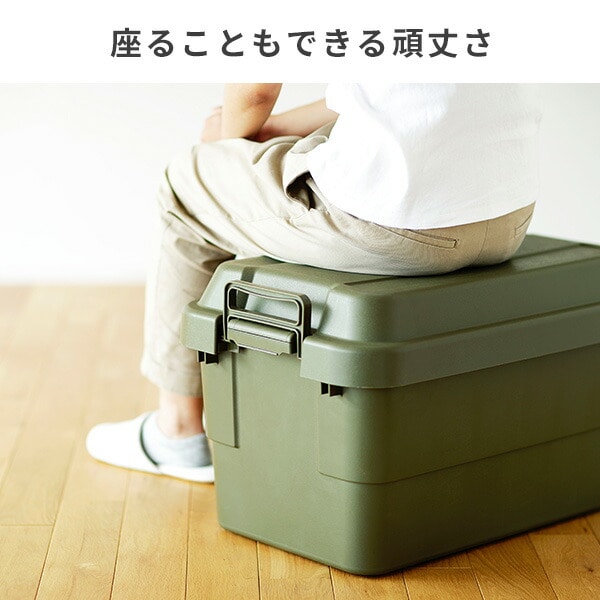 【10％オフクーポン対象】トランクカーゴ 座れる 収納ボックス 50L TC-50 リス RISU