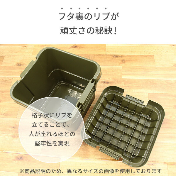 【10％オフクーポン対象】トランクカーゴ 座れる 収納ボックス 70L TC-70 リス RISU