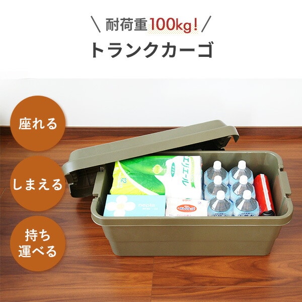 【10％オフクーポン対象】トランクカーゴ 座れる 収納ボックス 70L TC-70 リス RISU