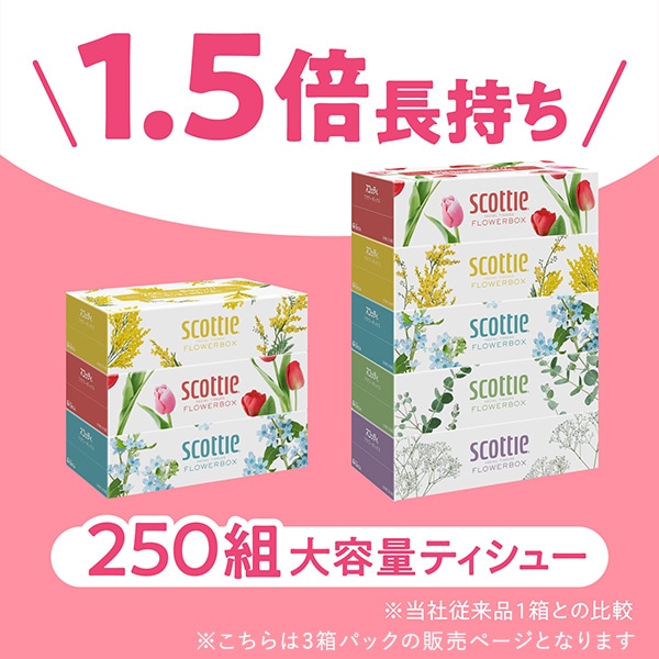 【10％オフクーポン対象】スコッティ ティッシュペーパー フラワーボックス 500枚(250組)3箱×18パック(54箱) 日本製紙クレシア
