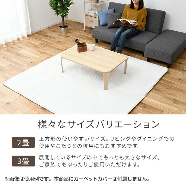 ホットカーペット 「敷く消臭元」 制菌・消臭 2畳 3畳 NUK-204/NUK-304 山善 YAMAZEN