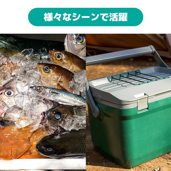 ちょこ脱臭 オゾン発生器 消臭 コンパクト 3WAY電源 10畳 乾電池/専用充電器/USB充電 日本製 Hapyson ハピソン