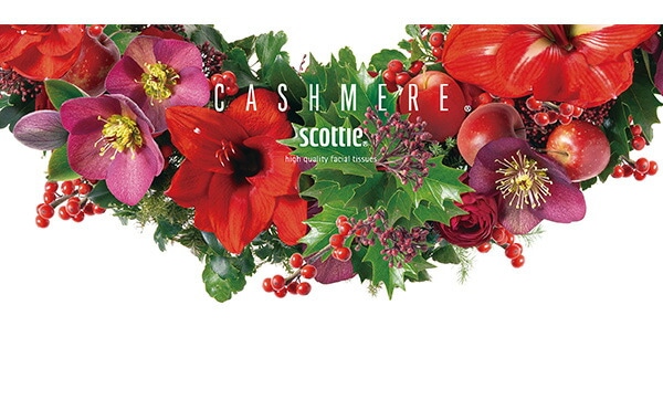 スコッティ カシミヤ ティッシュペーパー クリスマス限定パッケージ 440枚(220組)×10箱 日本製紙クレシア