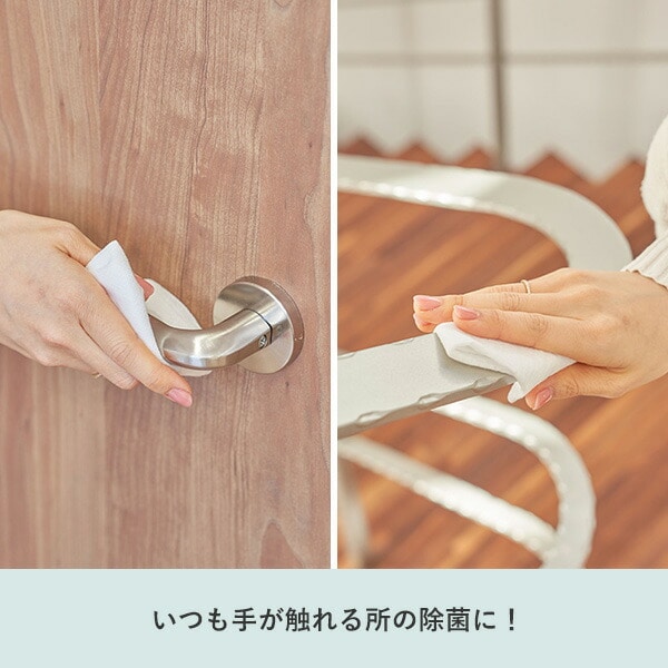 アウロ クリーニング＆除菌スプレー 本体(300ml)+詰め替え(260ml)セット 界面活性剤不使用 正規品 アウロ AURO