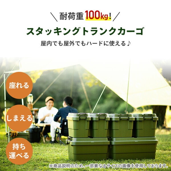 トランクカーゴ スタッキング 50L 座れる収納ボックス GHON106/GHON229/GHON108/GHON264/GHON265 リス RISU