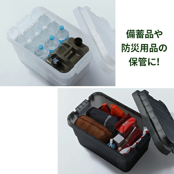 トランクカーゴ スタッキング 50L 座れる収納ボックス GHON106/GHON229/GHON108/GHON264/GHON265 リス RISU