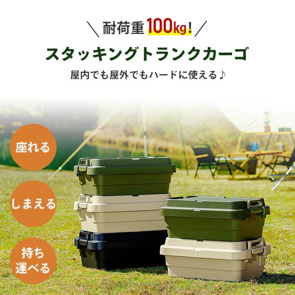 トランクカーゴ スタッキング TC-50S LOWタイプ 30L 日本製 GHON133/GHON230/GHON135/GHON266/GHON267 リス RISU