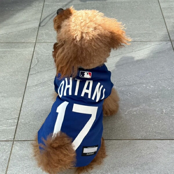 MLB公認 ロサンゼルスドジャース 大谷翔平選手モデル ユニフォーム ジャージ XS～3XL ファンタジーワールド