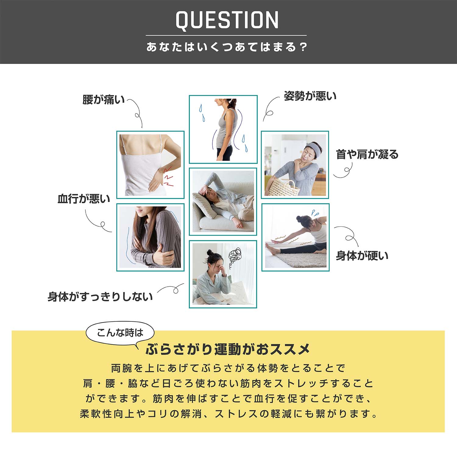 ぶら下がり健康器 ぶらさがりくん 高さ5段階 コンパクト設計 FA893 アルインコ ALINCO