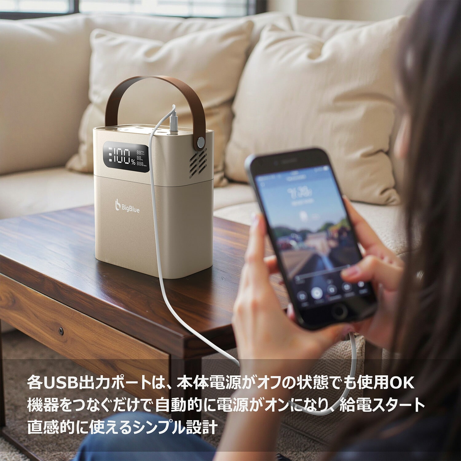 ポータブル電源 リン酸鉄 Cellpowa100 パススルー充電 機内持ち込み可 102.4Wh 32,000mAh CP100 Bigblue Tech ビッグブルーテック