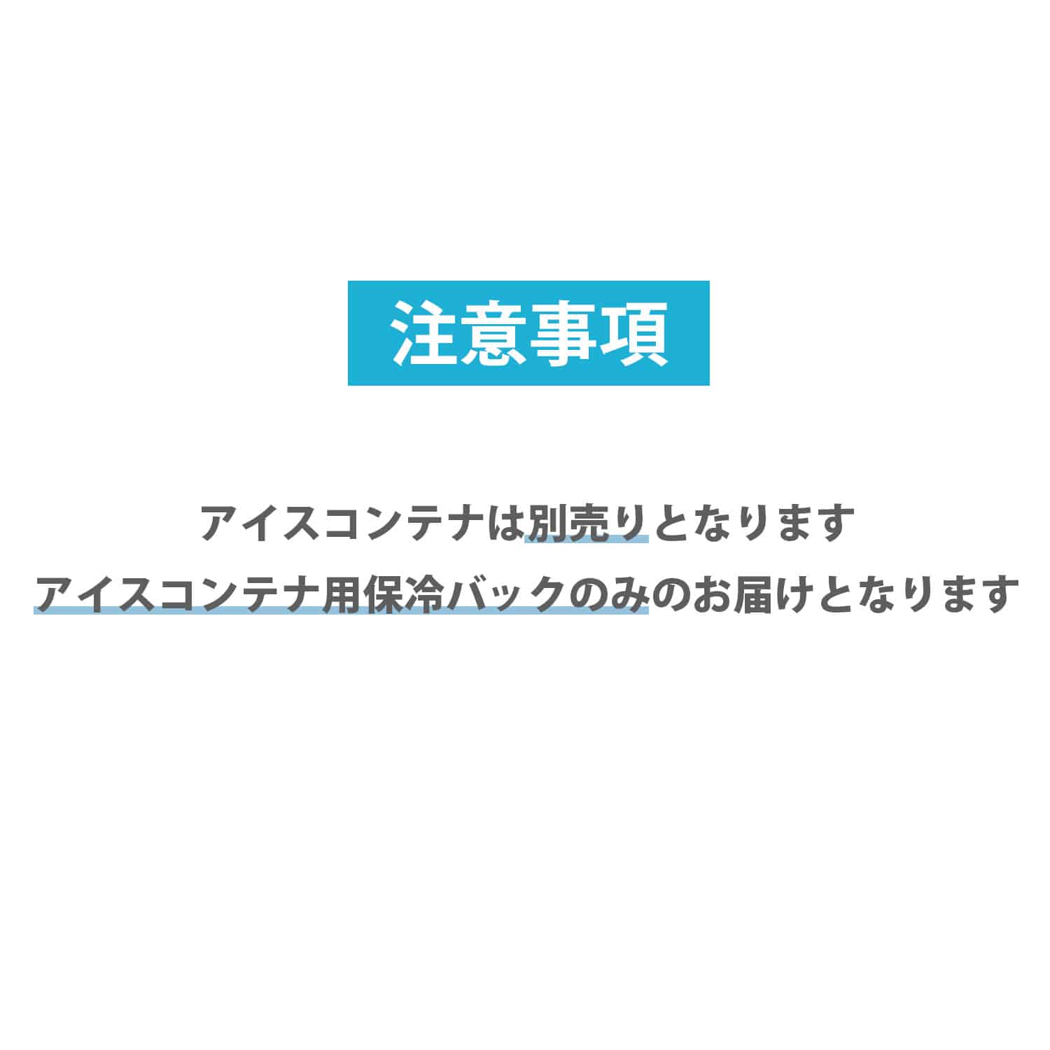 真空アイスコンテナ用 保冷バッグ ICB-5 山善 YAMAZEN キャンパーズコレクション