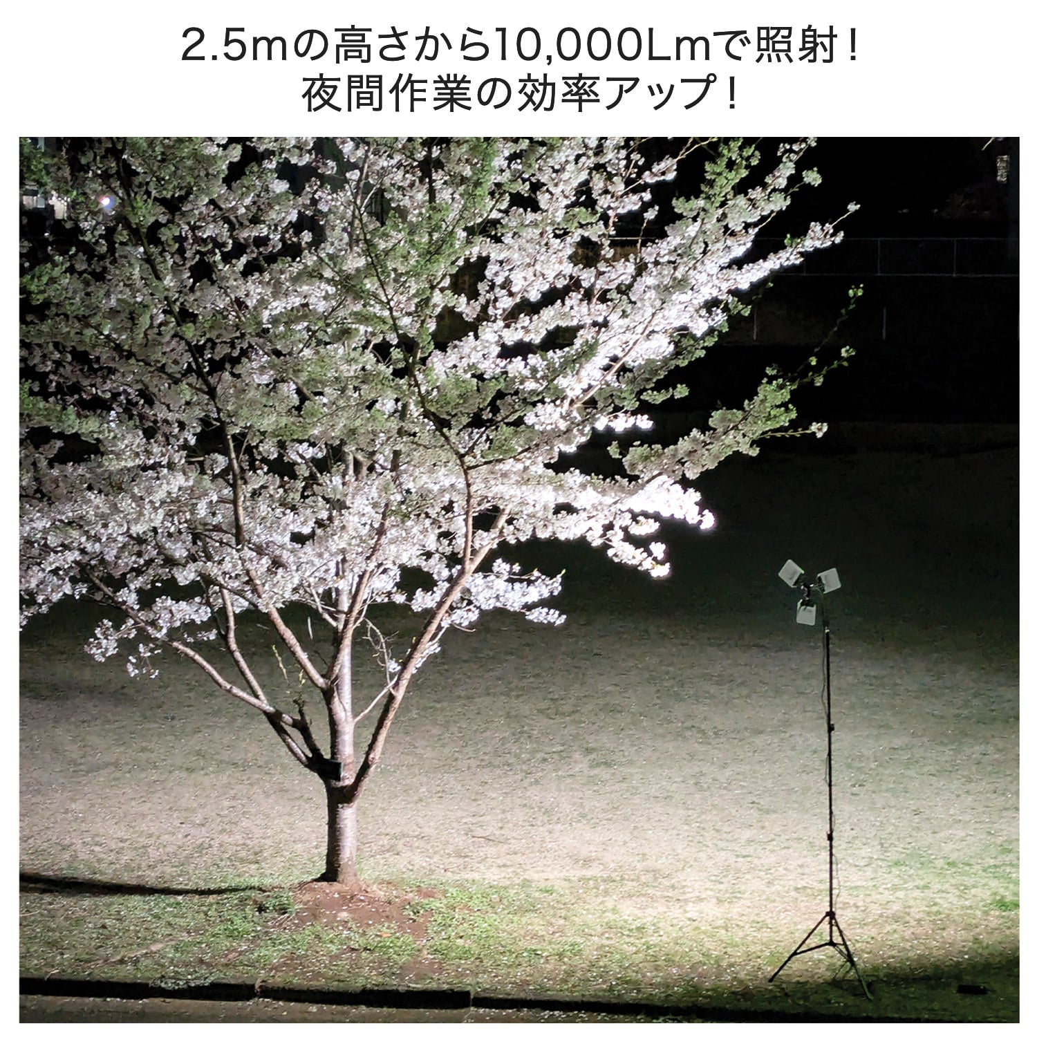 スタジアムライト 作業灯 LED 最大10000lm ダイヤル式調光 最長2.55m 収納ケース付き SLB-SK100 山善 YAMAZEN