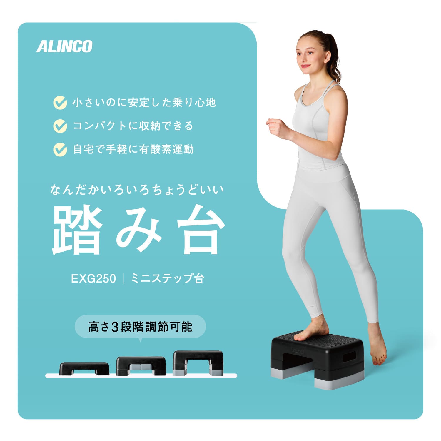 踏み台 踏み台昇降 高さ3段階 EXG250 アルインコ ALINCO