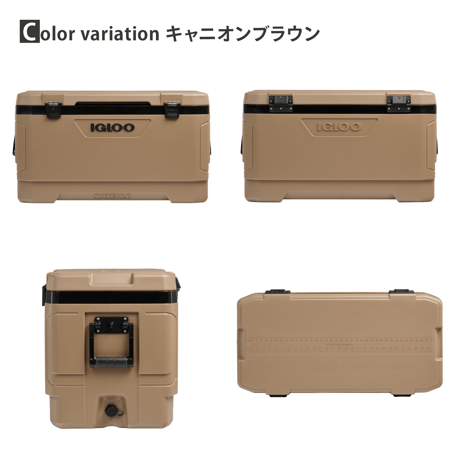 クーラーボックス 大型 マックスコールド ラティチュード100 (95L) 50922/50003 イグルー IGLOO