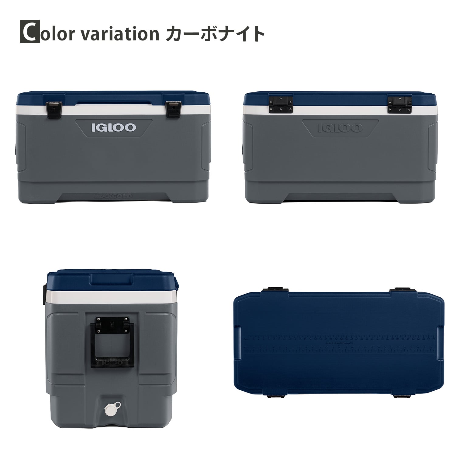 クーラーボックス 大型 マックスコールド ラティチュード100 (95L) 50922/50003 イグルー IGLOO