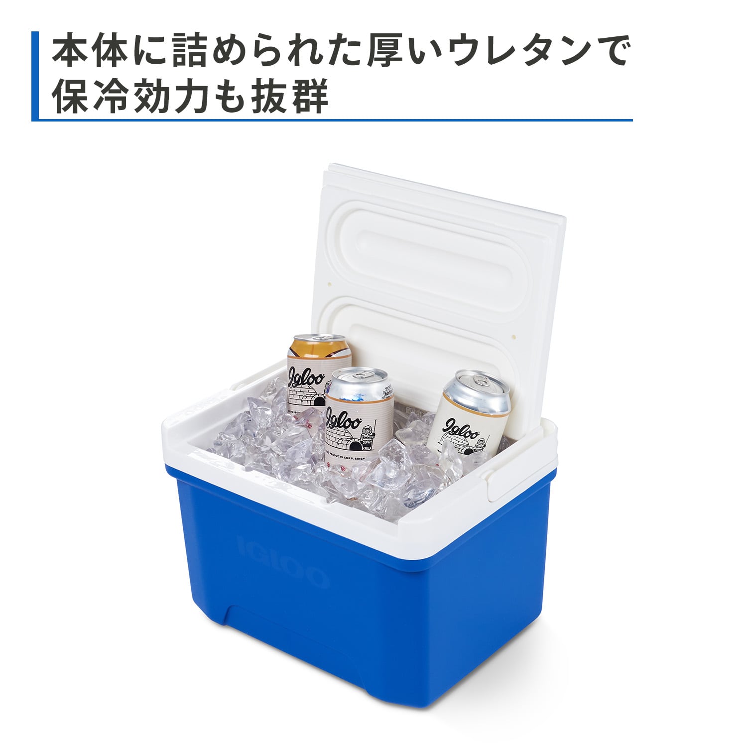 クーラーボックス 小型 8.5L クール9 32855 イグルー IGLOO