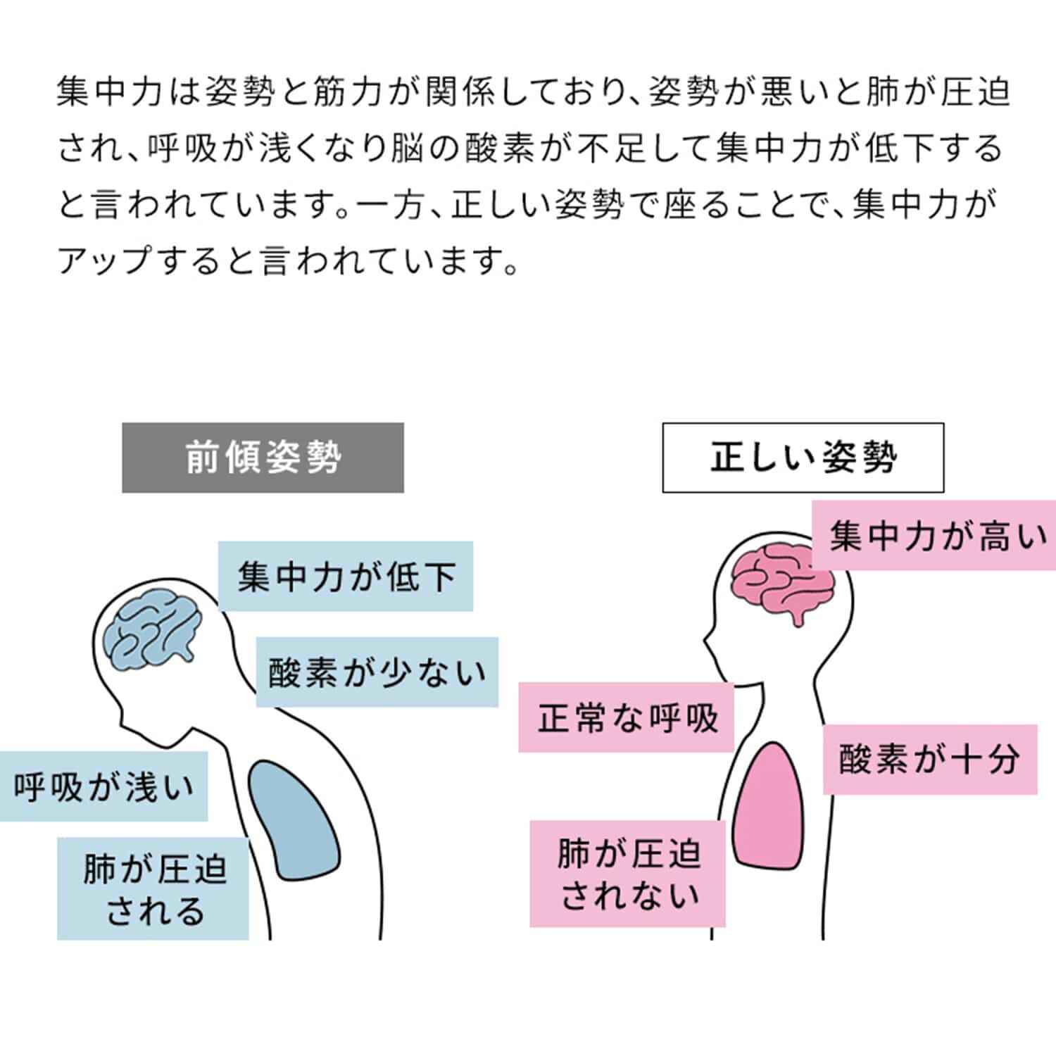 プロポーションチェア (R) SOLA (ソラ) ( 幅48 奥行62-80 高さ46-67cm) CH-P900CK 宮武製作所