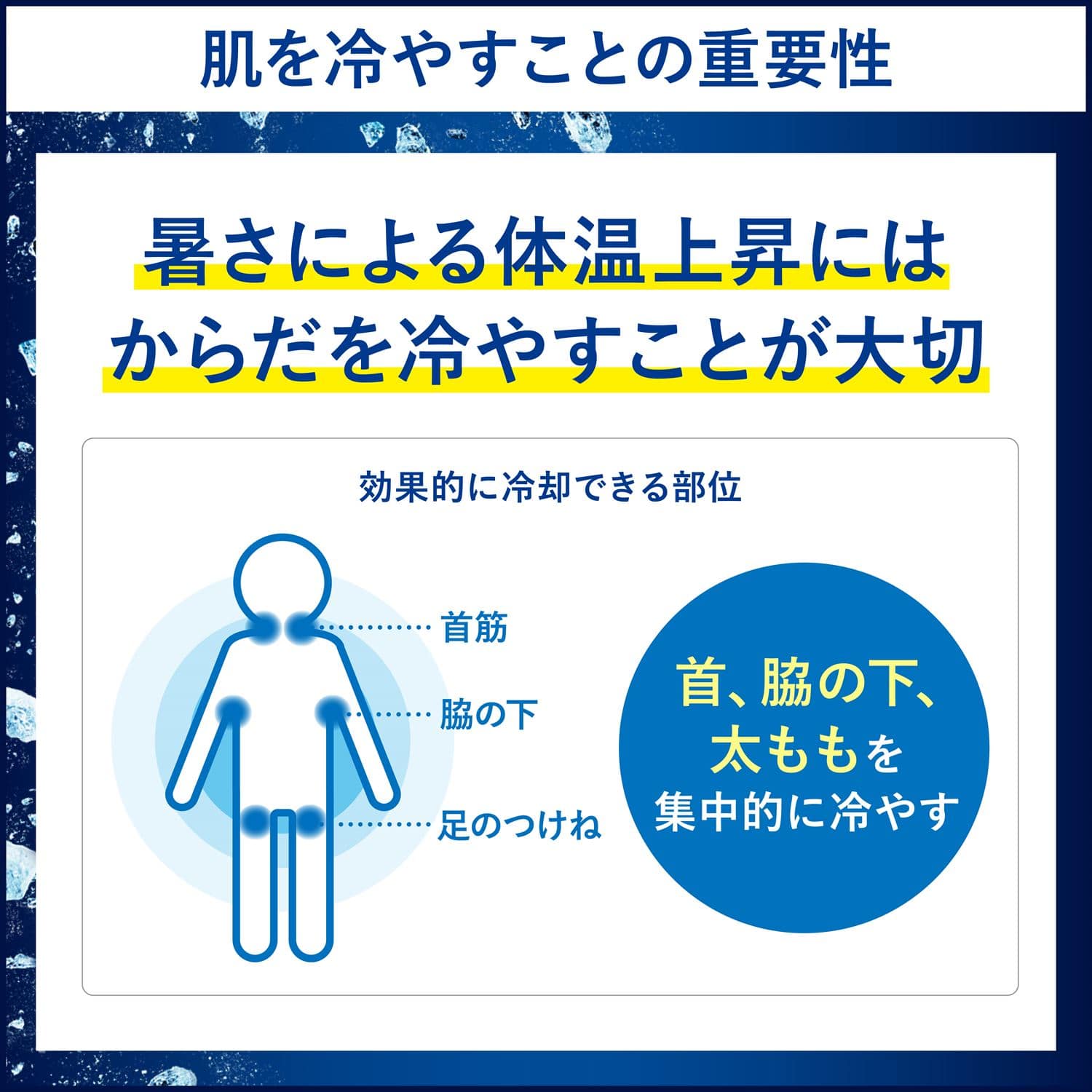 ビオレ 冷タオル 無香性 5本入×24パック(120本) 個包装 日本製 花王 Kao