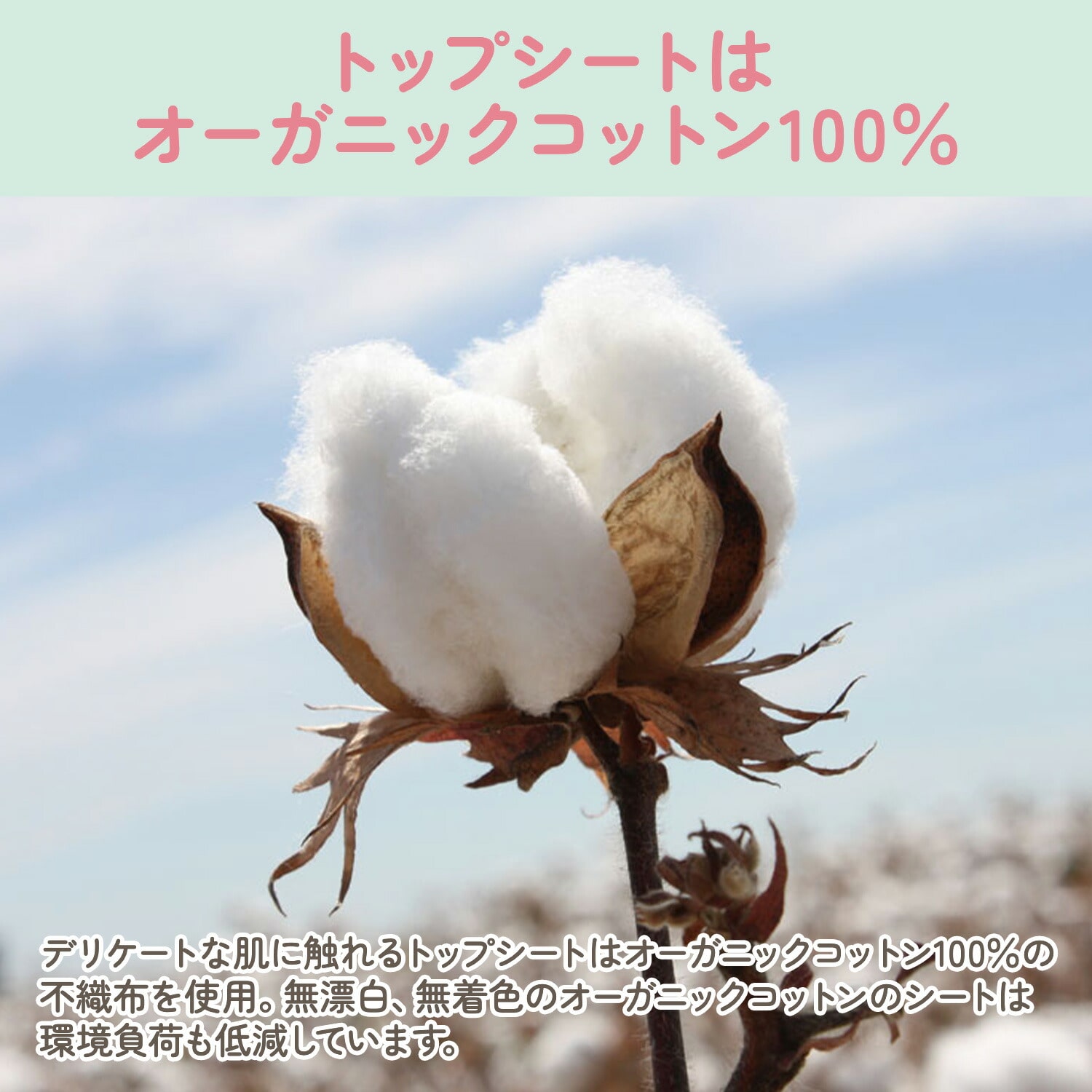 ナチュラムーン Tライナー おりもの専用シート Tバック用 20個入×5パック(100個) ノンポリマー 使い捨て ナチュラムーン NaturaMoon