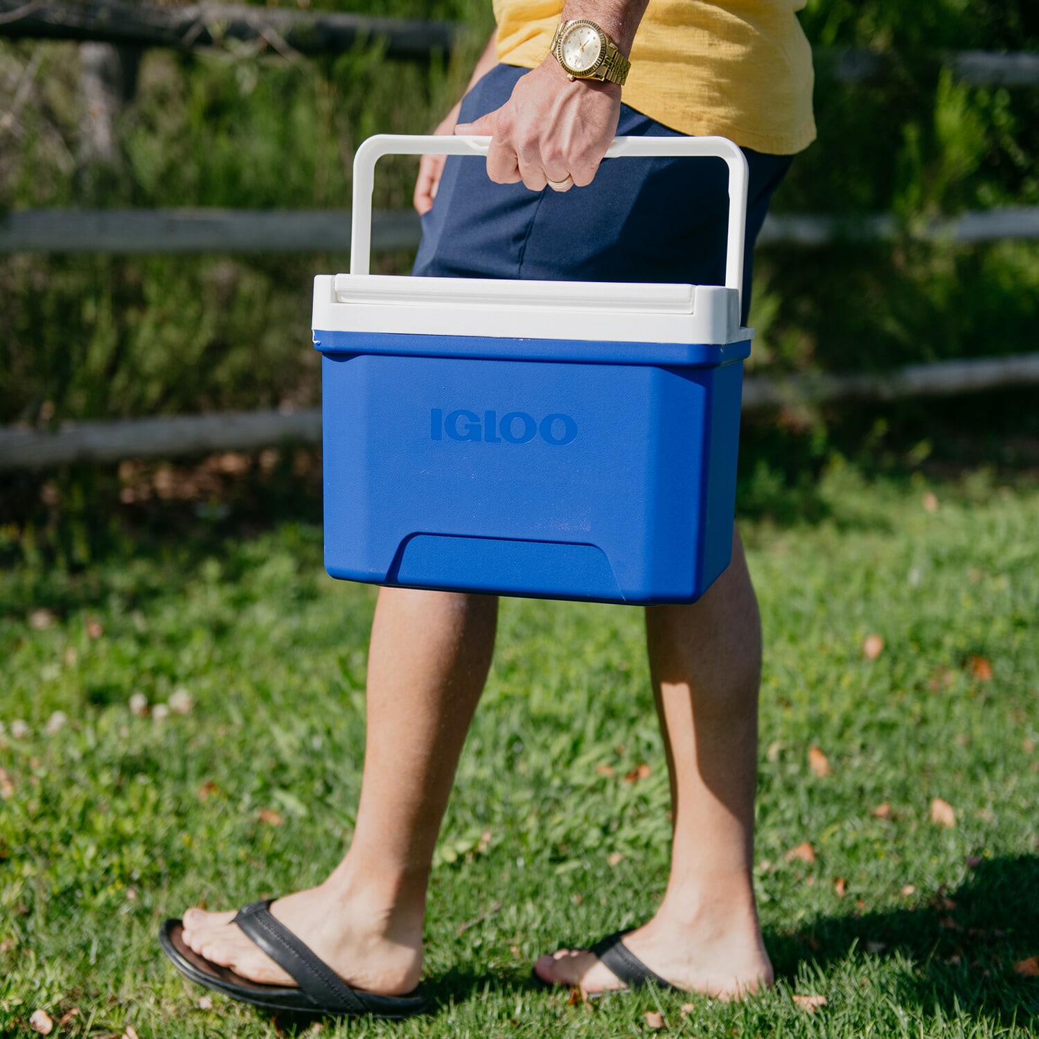 クーラーボックス 小型 8.5L クール9 32855 イグルー IGLOO