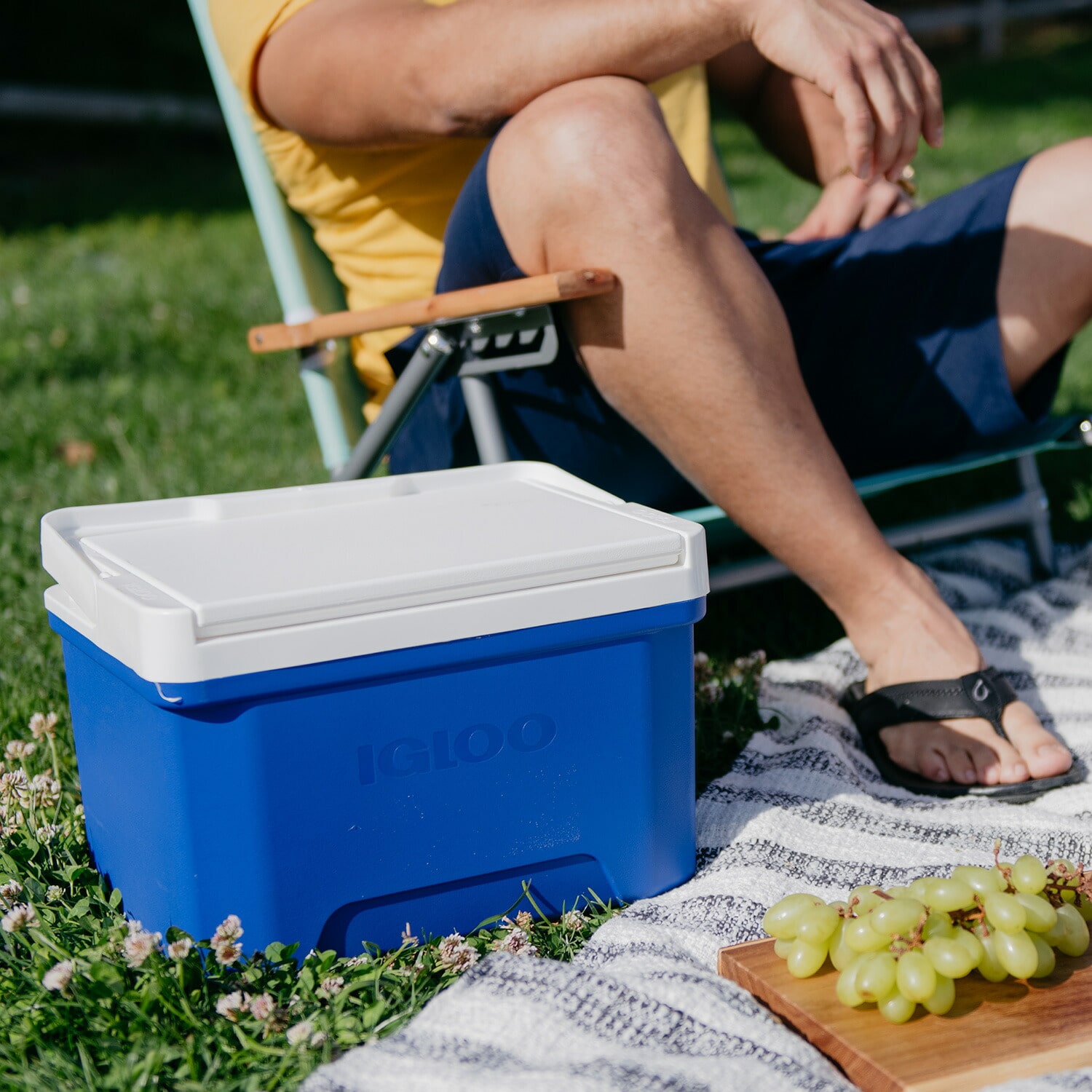 クーラーボックス 小型 8.5L クール9 32855 イグルー IGLOO