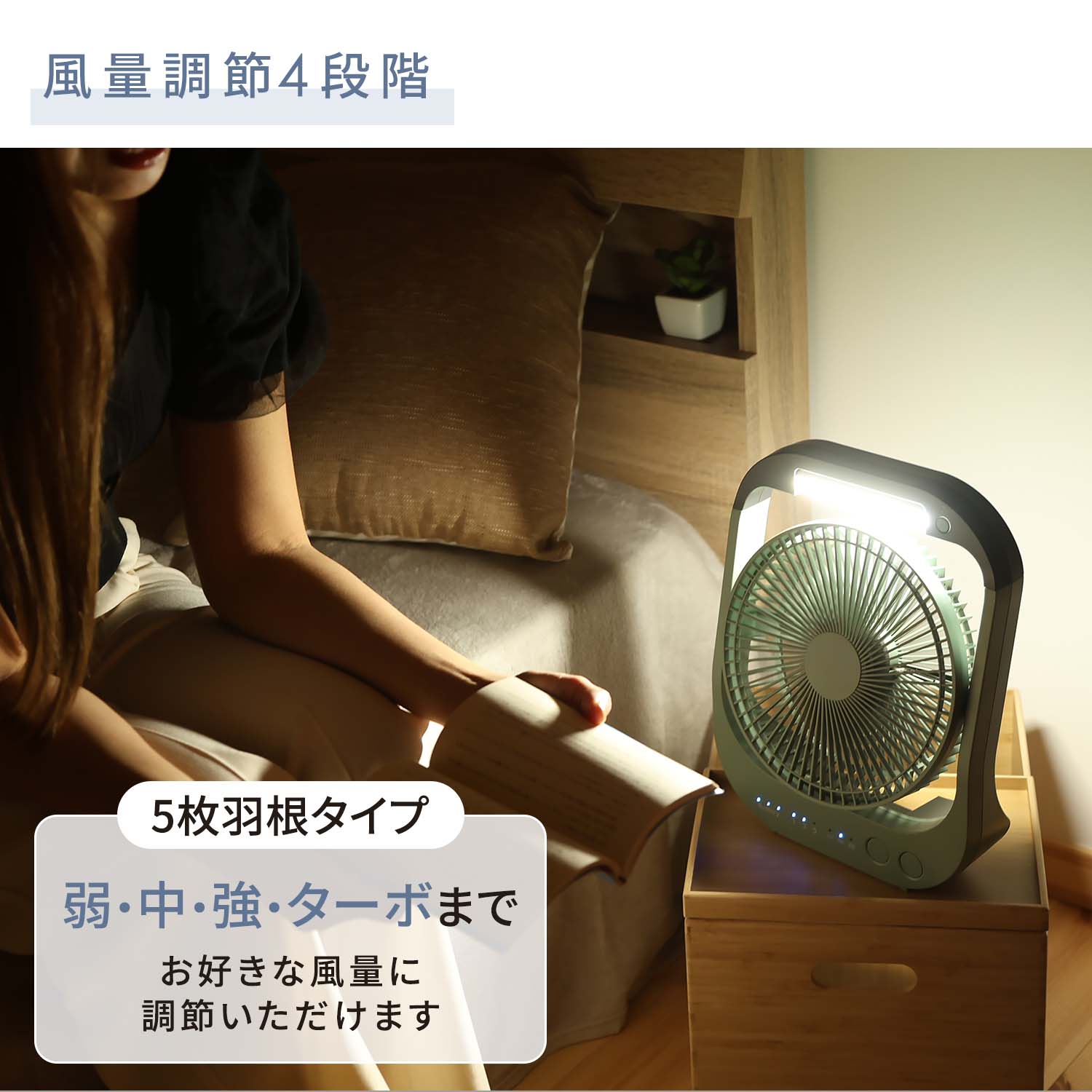 アウトドアファン DCモーター ライト機能付き USB対応 防災 ホーム＆アウトドア SF-DFC55 トップランド TOPLAND