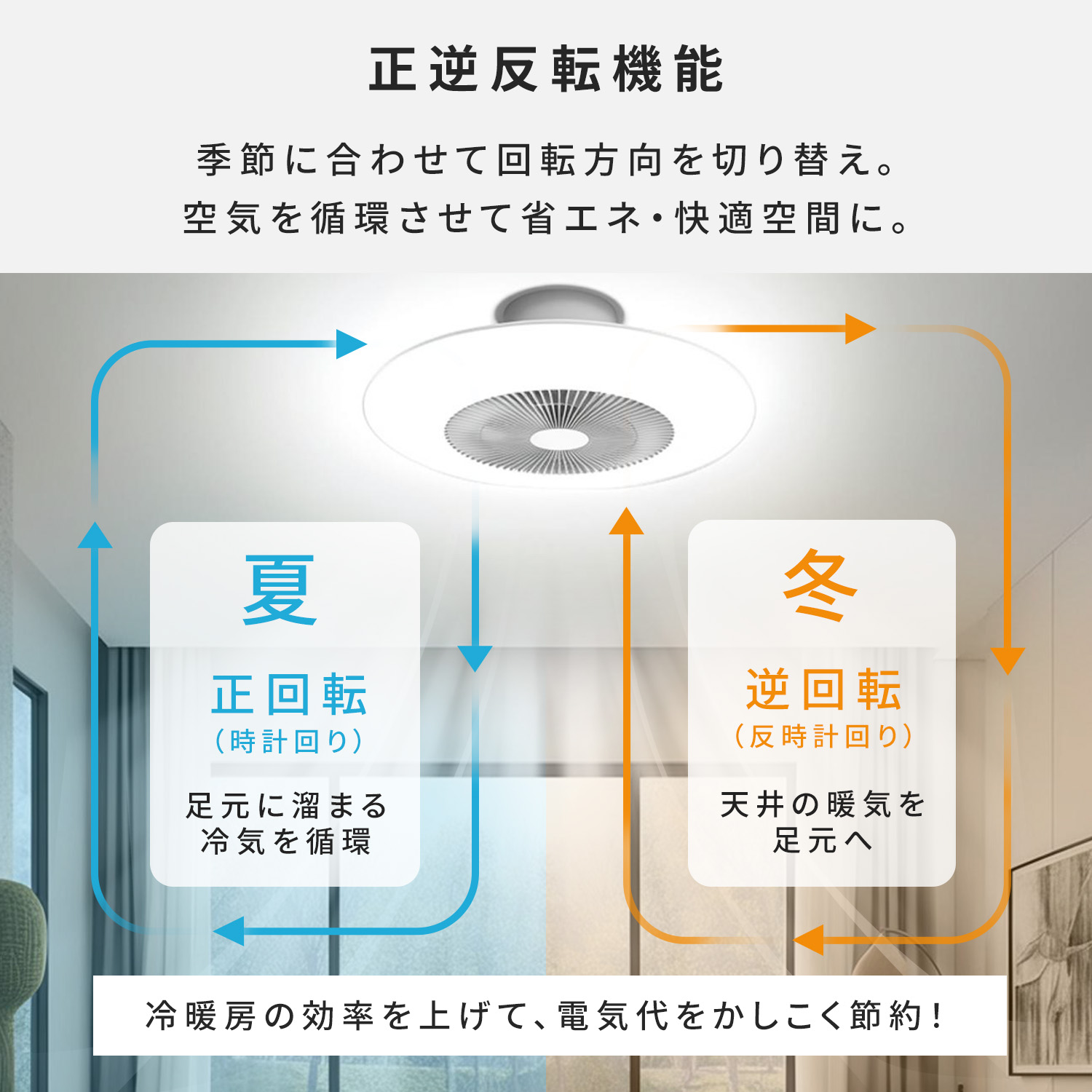 シーリングファンライト LED TLFL-08/TLFL-12 8畳 12畳 調光 調色 リモコン付き正転逆転機能 薄型 常夜灯 山善 YAMAZEN