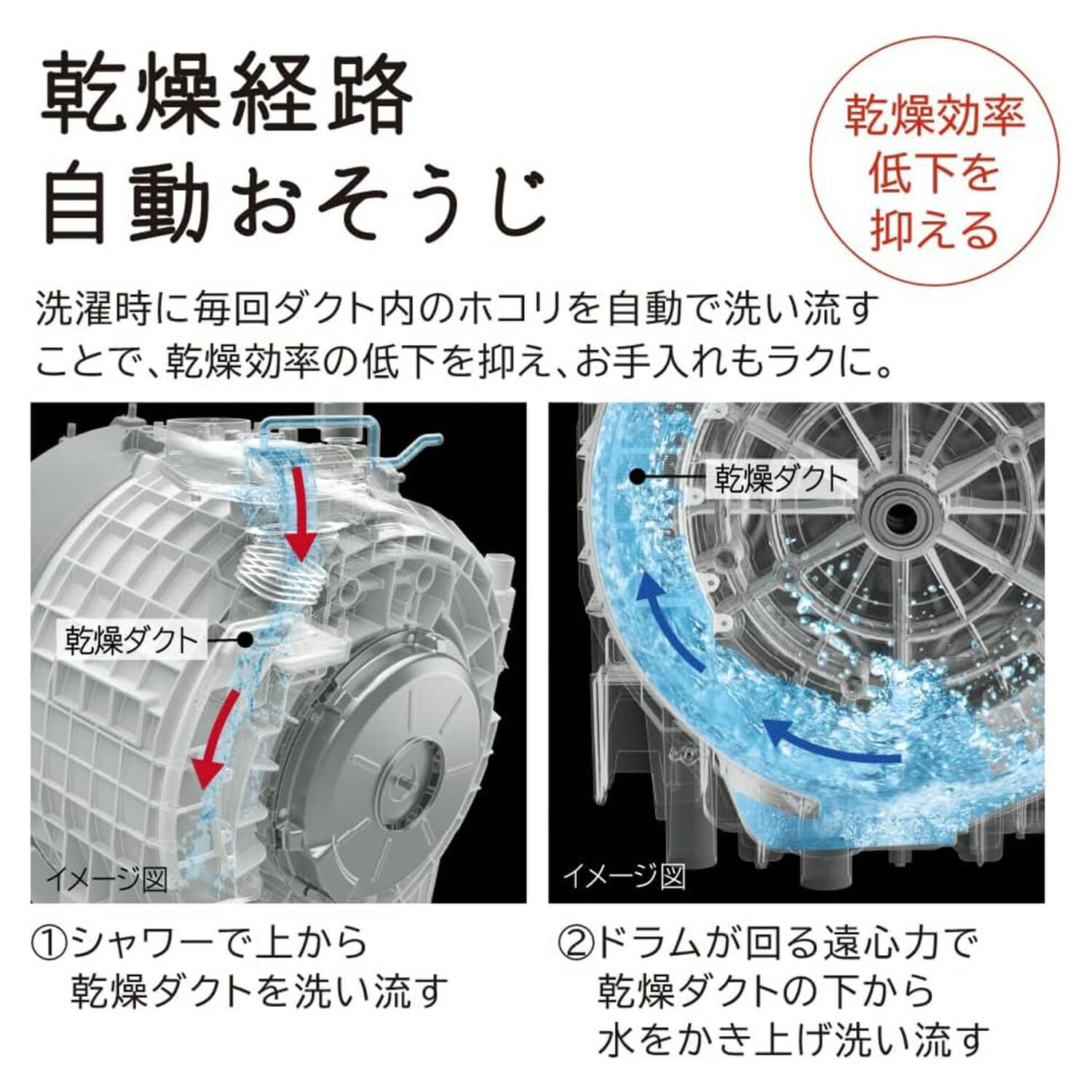 ドラム式洗濯乾燥機 洗濯容量11kg 乾燥容量6kg ビッグドラム BD-SG110KL 日立 HITACHI