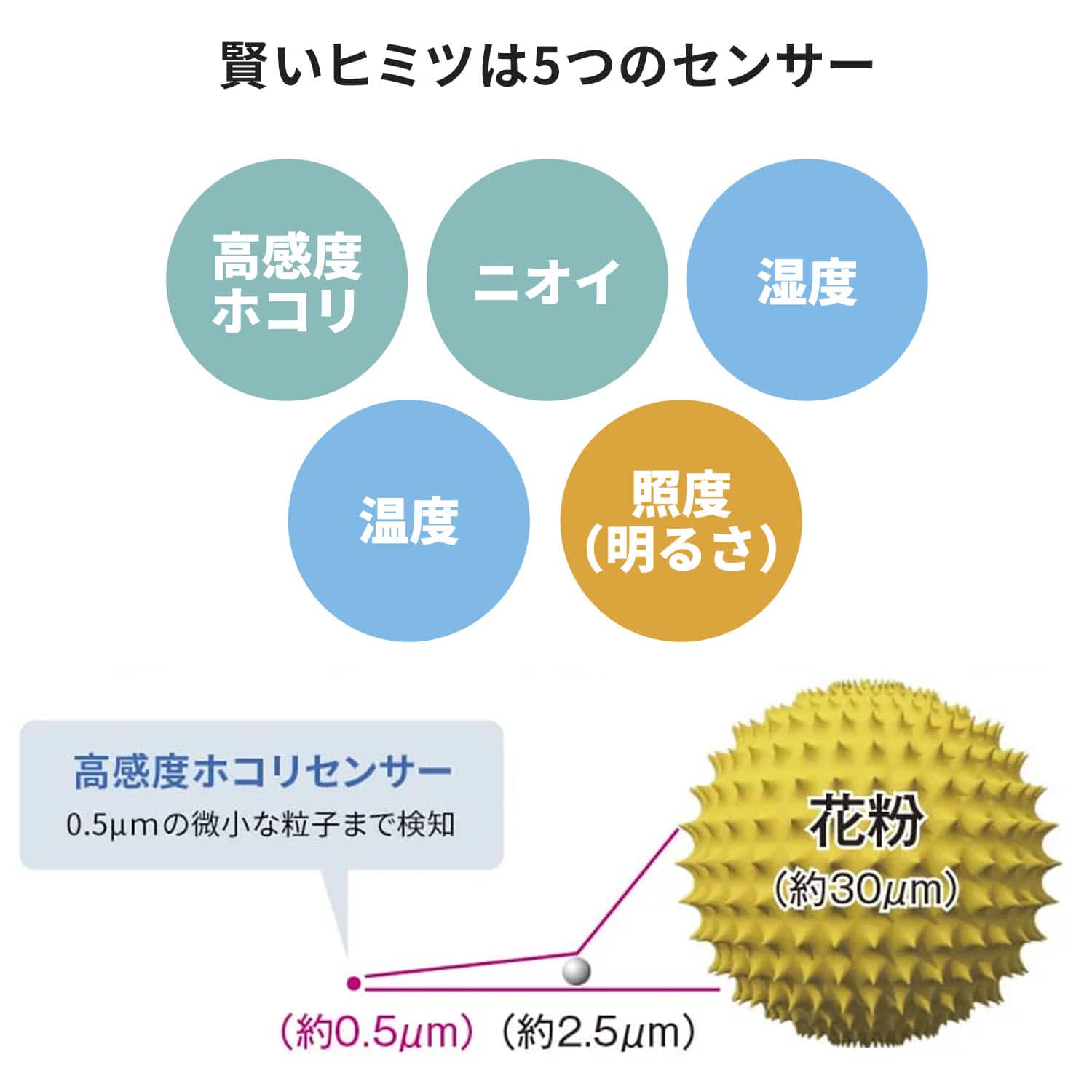 空気清浄機 プラズマクラスター コンパクト 大風量 【代引不可】【法人・施設限定】 FU-M1200 シャープ SHARP