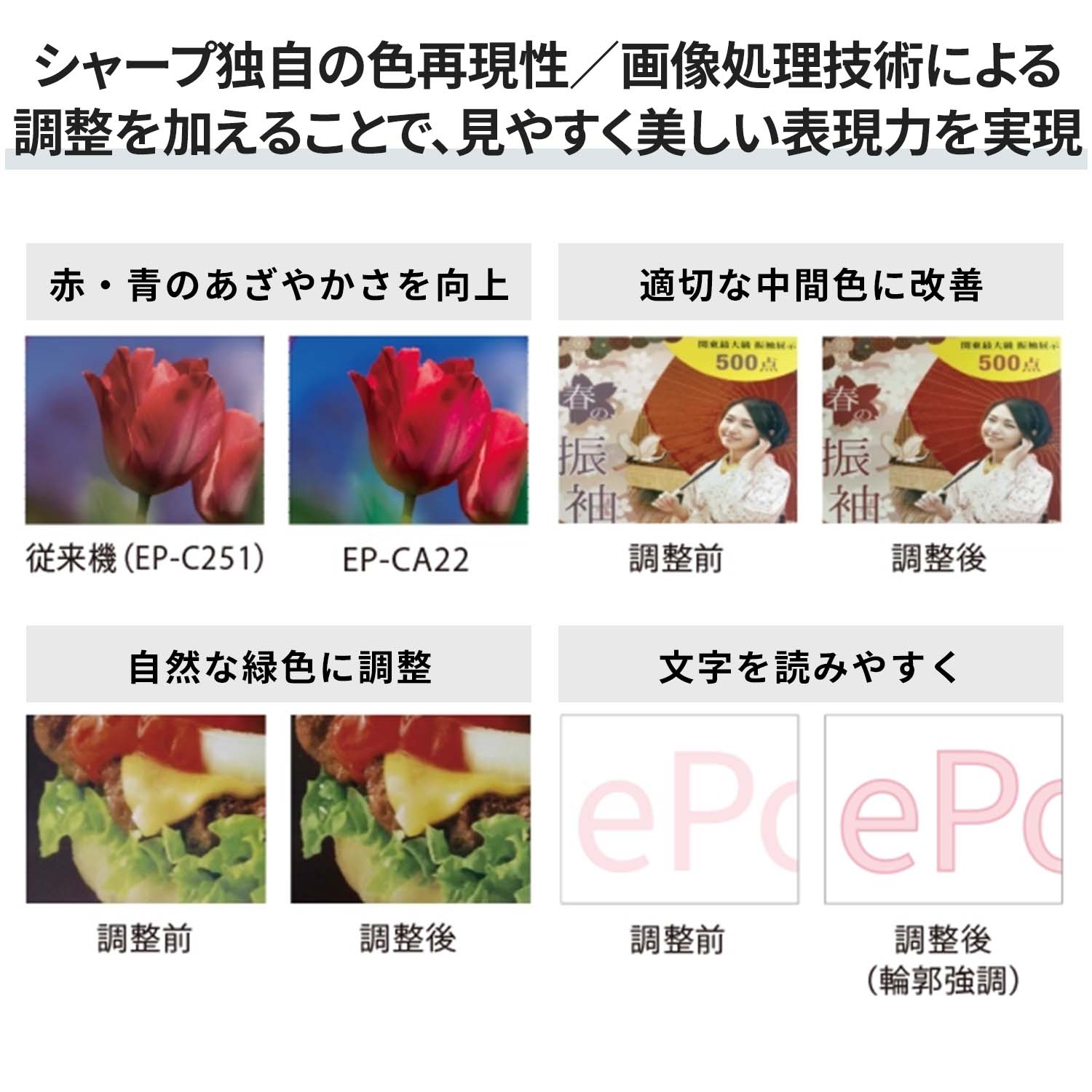 電子ペーパーディスプレイ A2 ポスター 配線不要 EP-CA22 【代引不可】【法人・施設限定】 シャープ SHARP