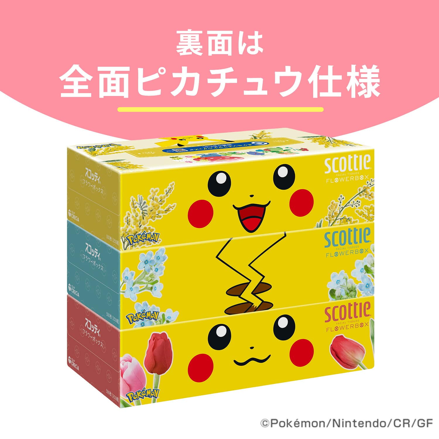 【ポケモン仕様】 スコッティ ティッシュペーパー フラワーボックス 500枚(250組) ポケットモンスター 限定パッケージ  3箱×18パック(54箱) 日本製紙クレシア