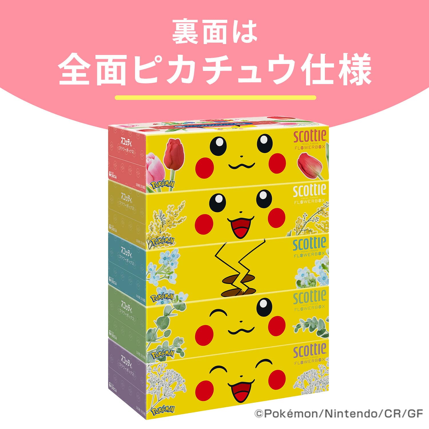 【ポケモン仕様】 スコッティ ティッシュペーパー フラワーボックス 500枚(250組) ポケットモンスター 限定パッケージ 5箱×12パック(60箱) 日本製紙クレシア