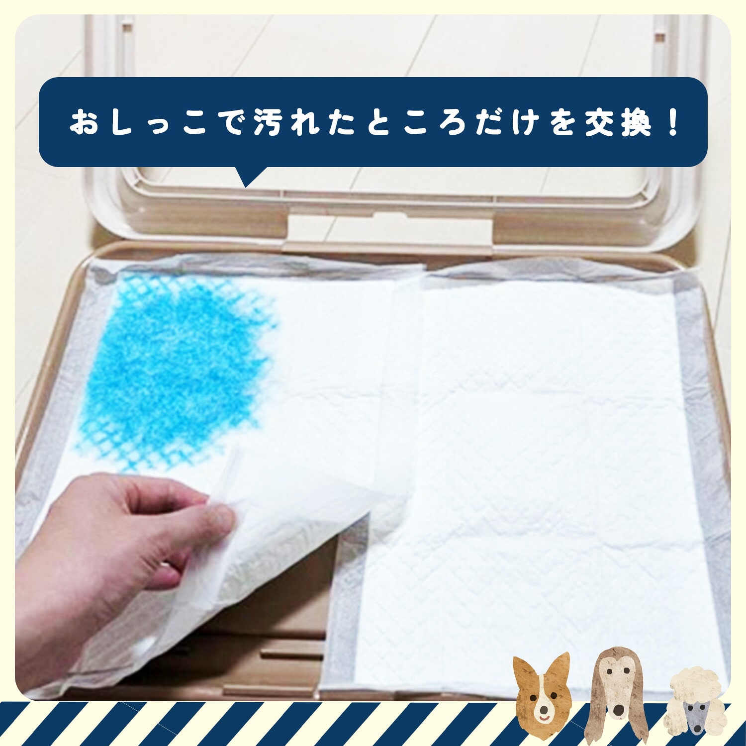 犬用ペットシーツ 薄型 使い捨て レギュラーハーフ 約33×25cm 160枚×8パック(1280枚) ファインドッグ FineDog FD-PS-URH160 常陸化工