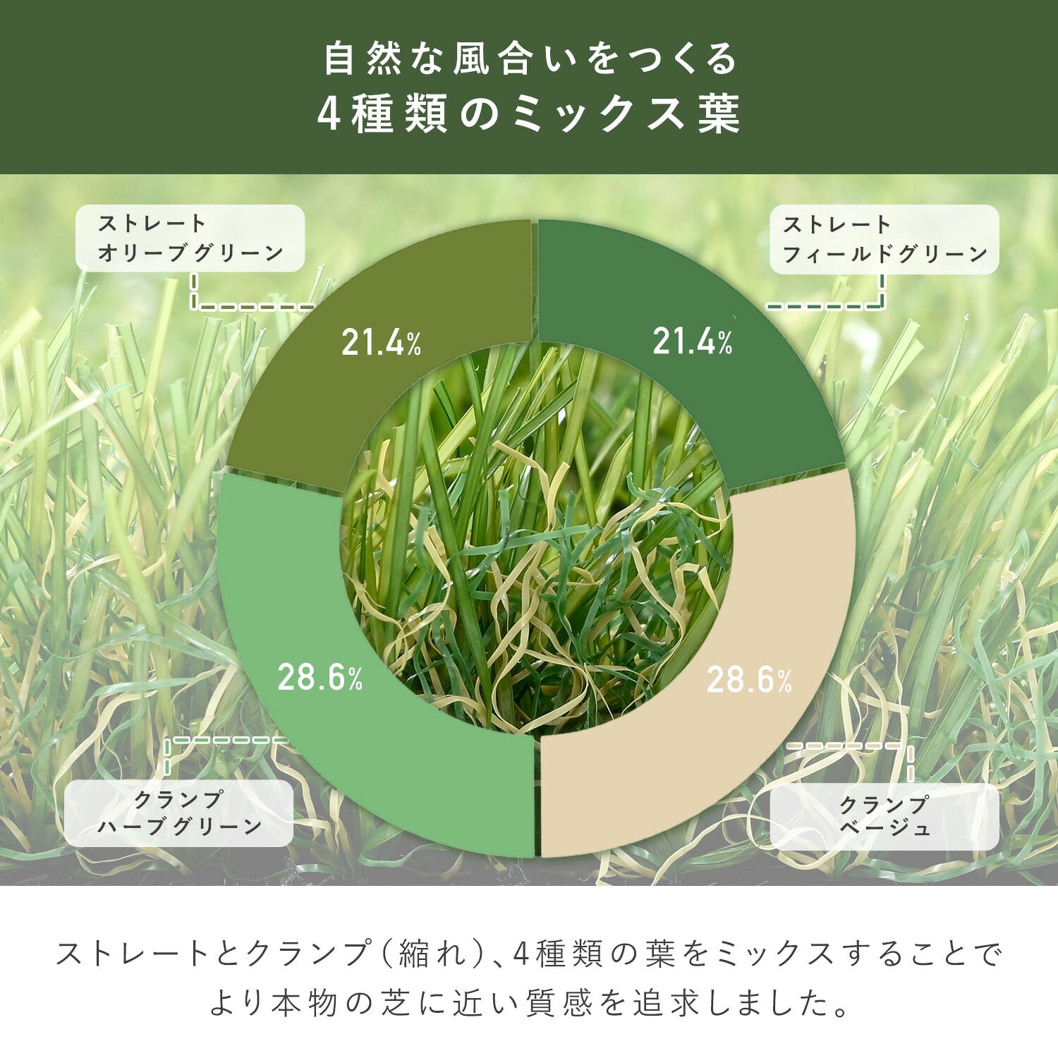 全面透水 人工芝 芝丈35mm 高密度52万本/平方メートル (幅1m～2m×奥行2m～20m) U字ピン付属 山善 YAMAZEN