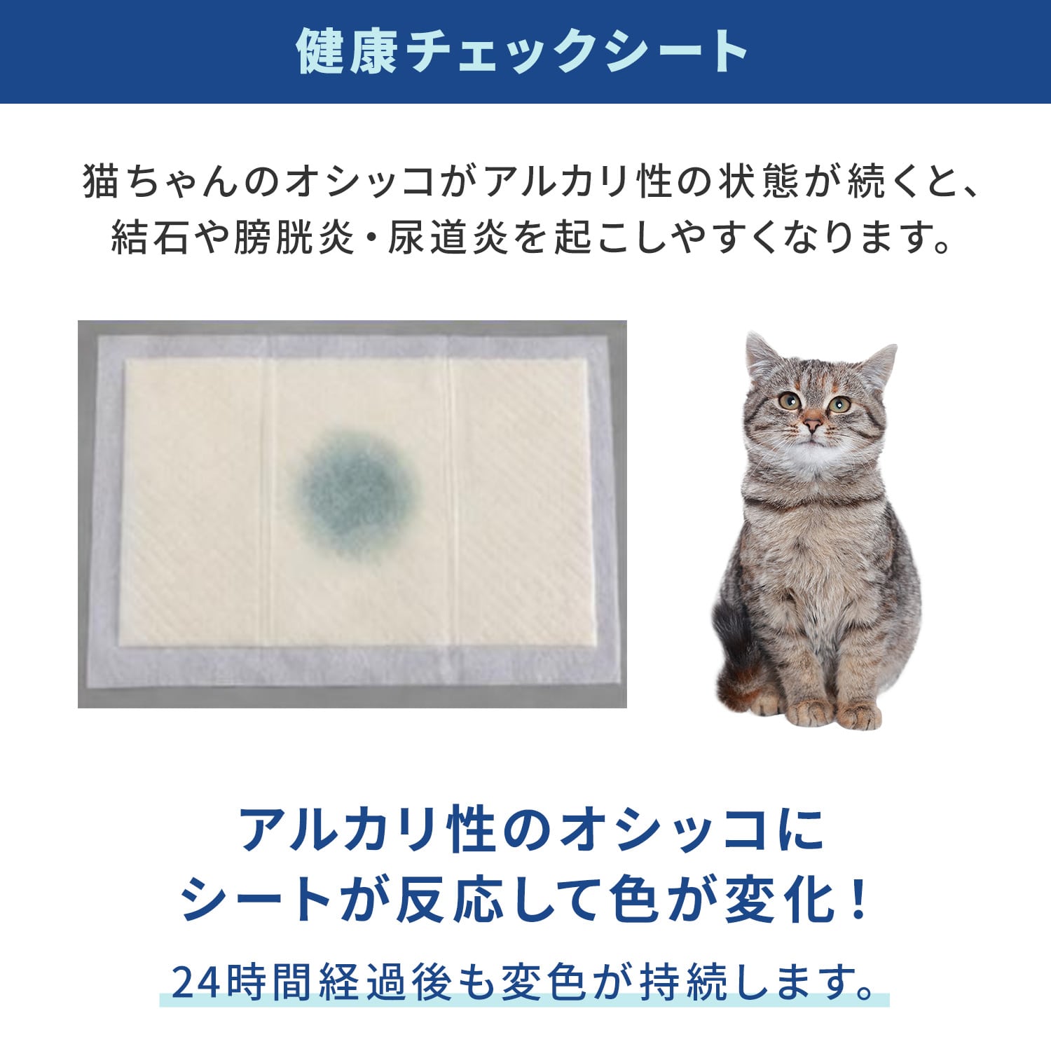 猫用ペットシーツ システムトイレ用 プロの消臭シート10枚+健康チェックシート2枚 ファインキャット FineCat ST-FC-PSS-10+2 常陸化工