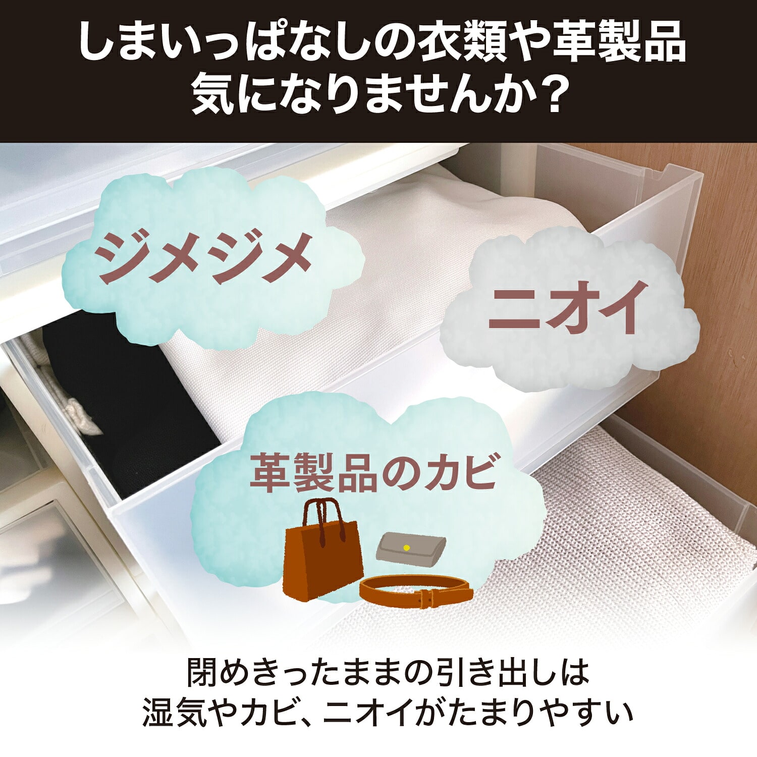 ドライペット 除湿剤 無香 引き出し・衣装ケース用 12枚入 除湿+脱臭 備長炭 活性炭 日本製 エステー