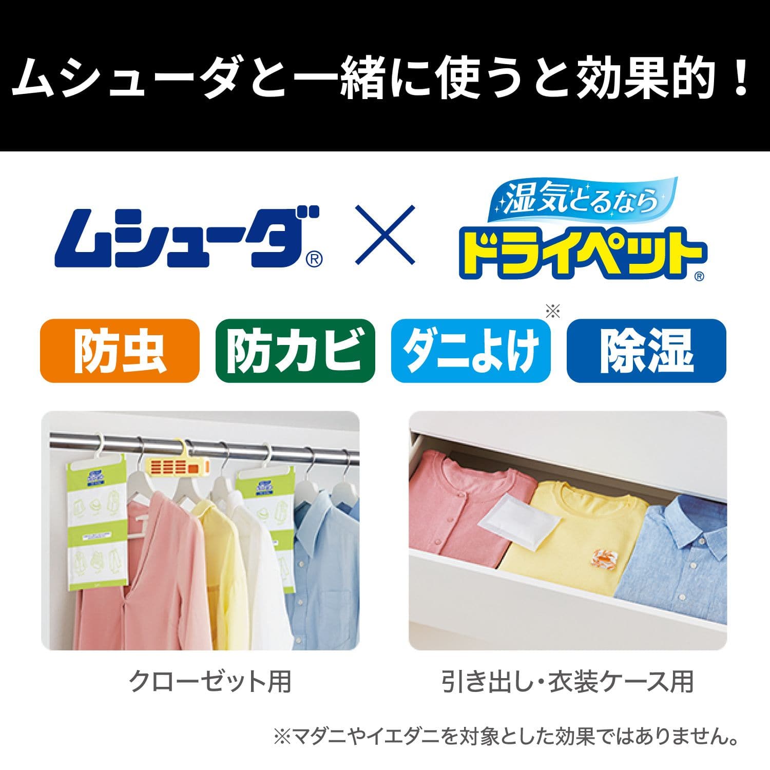 ドライペット 除湿剤 無香 引き出し・衣装ケース用 12枚入 除湿+脱臭 備長炭 活性炭 日本製 エステー