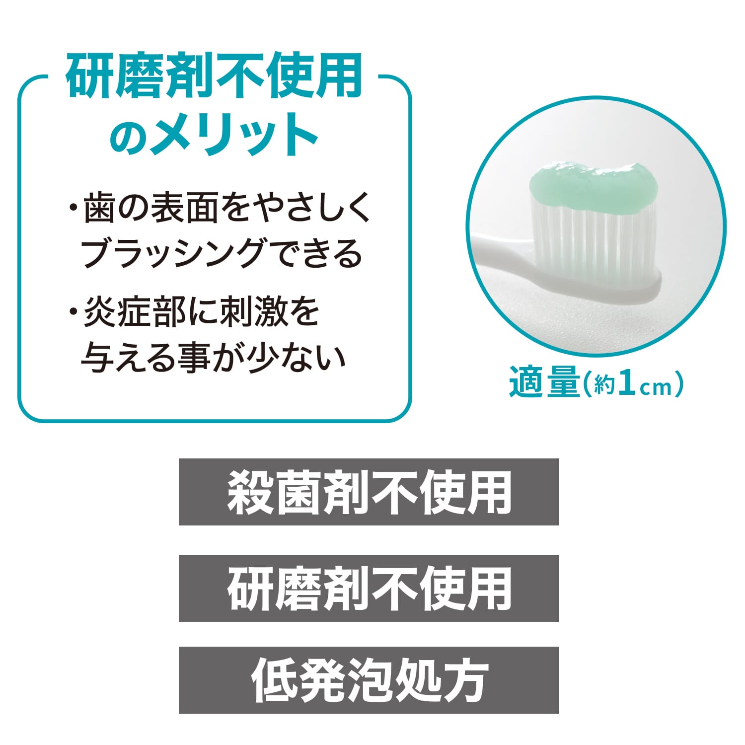 ラクレッシュEX 薬用 ハミガキジェル (80g) ジェクス JEX