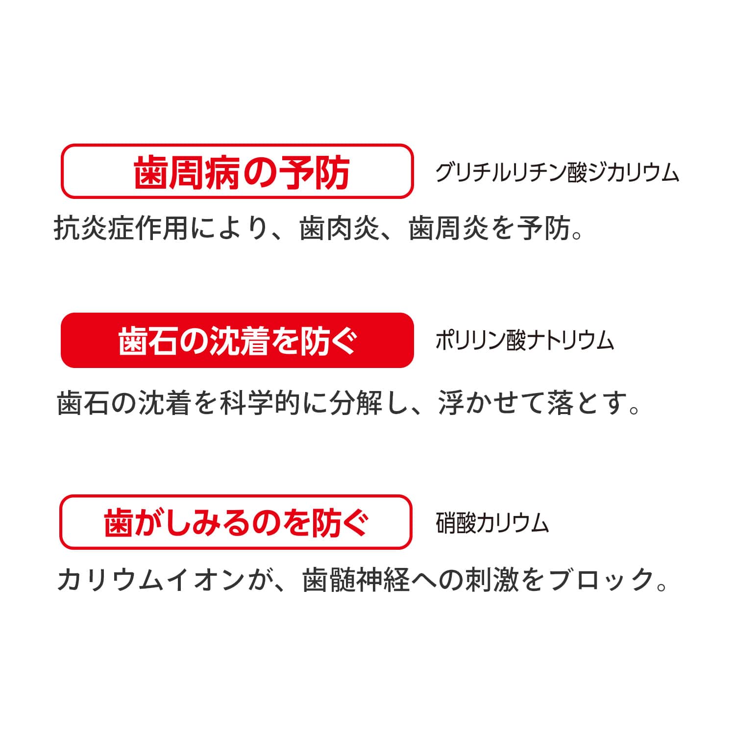 ラクレッシュ L8020 乳酸菌 デンタルリンス＆マウスウォッシュセット ジェクス JEX